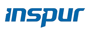 INSPUR logo